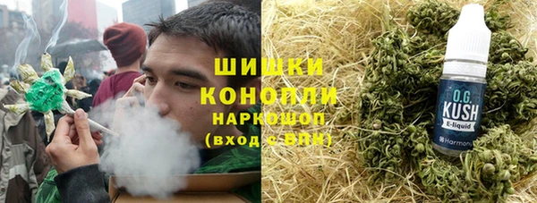 мет Алексин