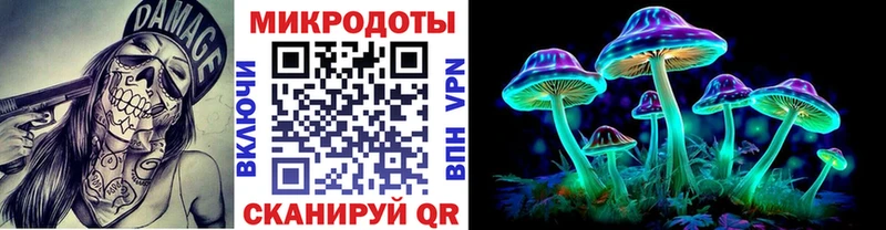 kraken ссылки  Бокситогорск  Псилоцибиновые грибы Psilocybe  закладка 